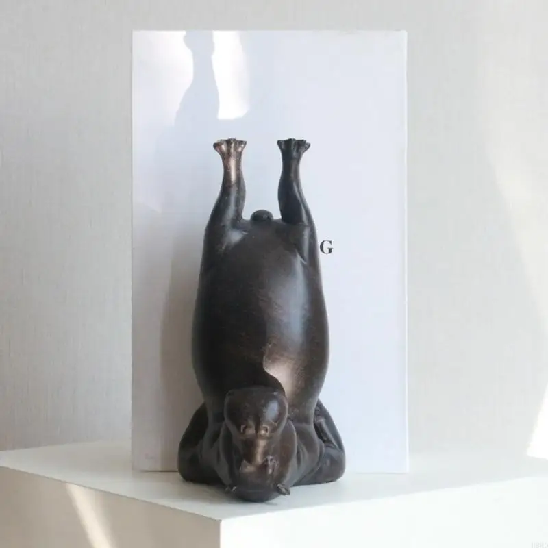 Elegant Bookends Resin Bookshelfs for Displaying Books Decors, Music Sheets, Books Stand for Display, Book Display Stand H8WD