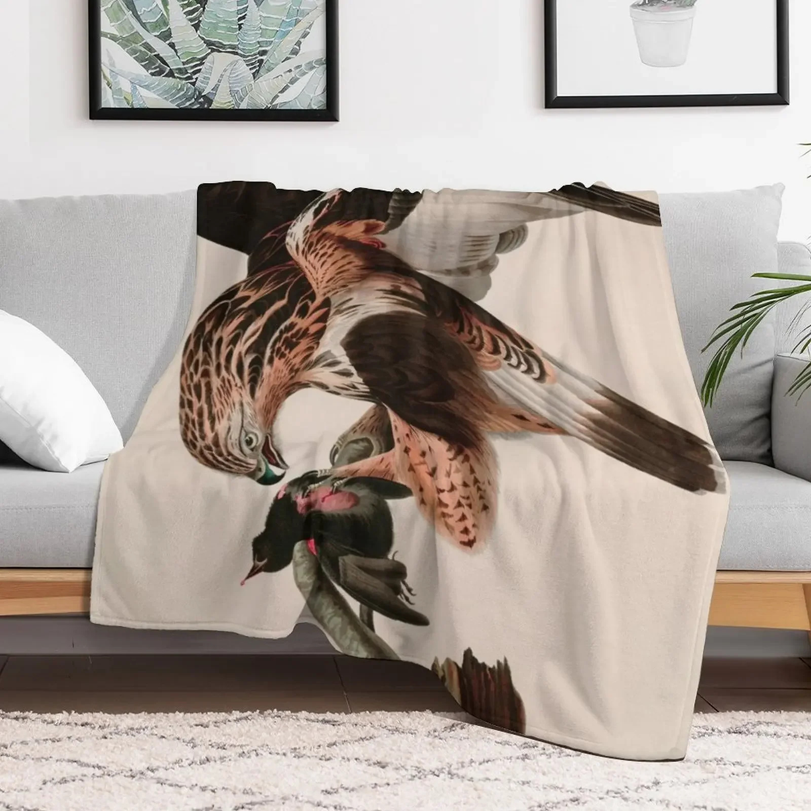 Birds of America Audubon Rough-legged Falcon Illustration Bird Lovers Gift Throw Blanket Soft Luxury Throw Soft Beds Blankets