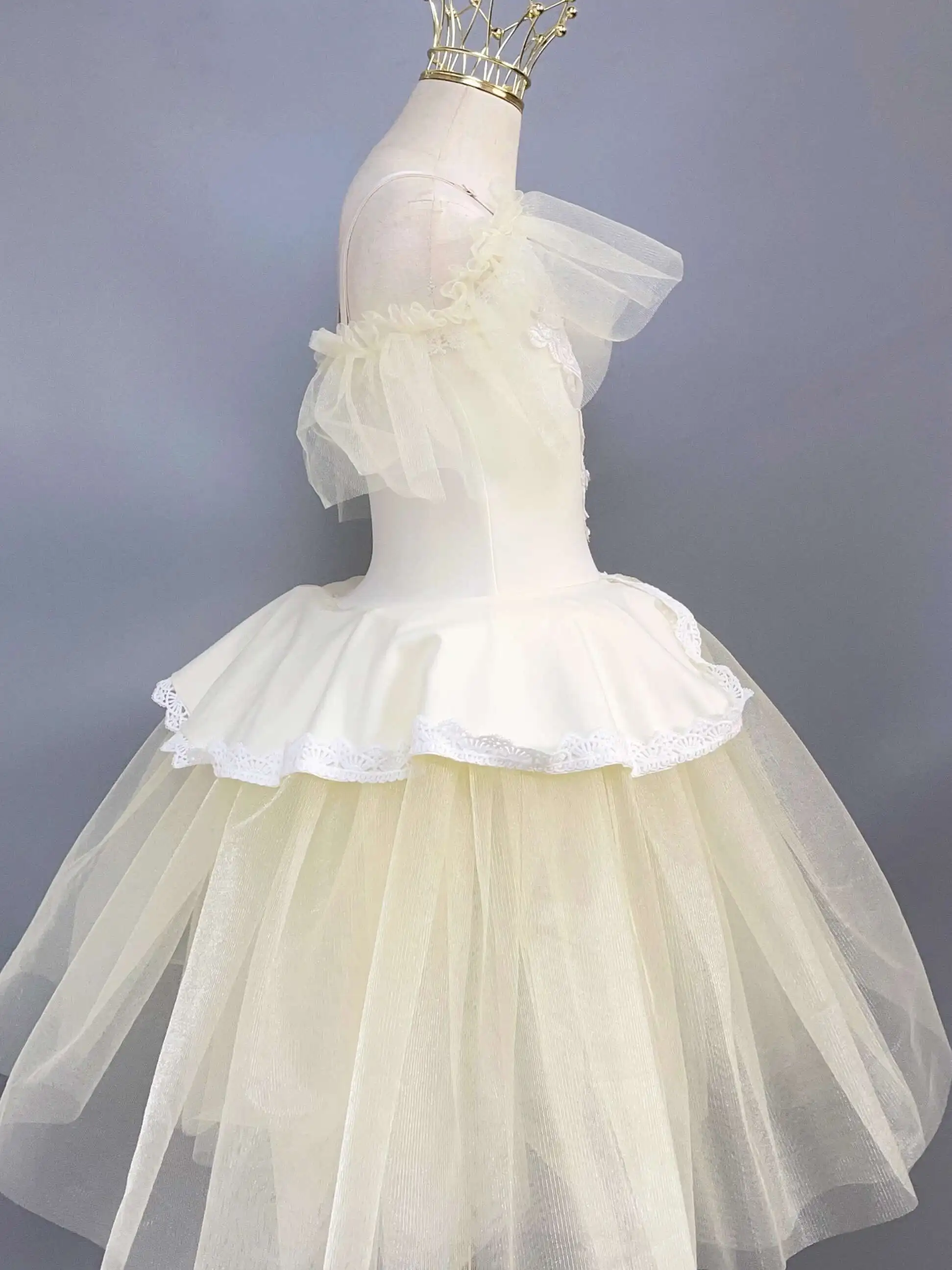 Children's Day Long Soft Tulle Ballet Performance Dress for Girls Professional Swan Lake Dance Dress Little Swan Performance