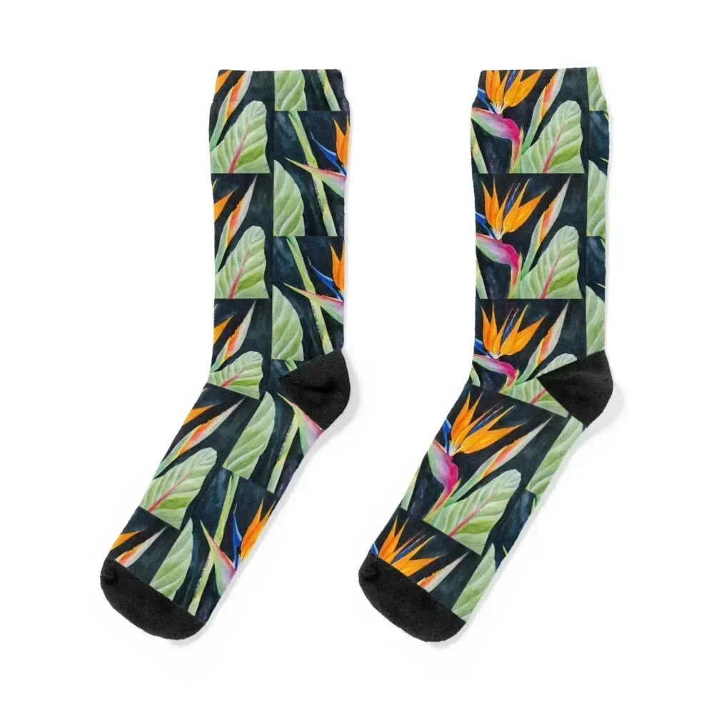 

Bird of Paradise Socks Climbing cotton aesthetic Boy Socks Women's