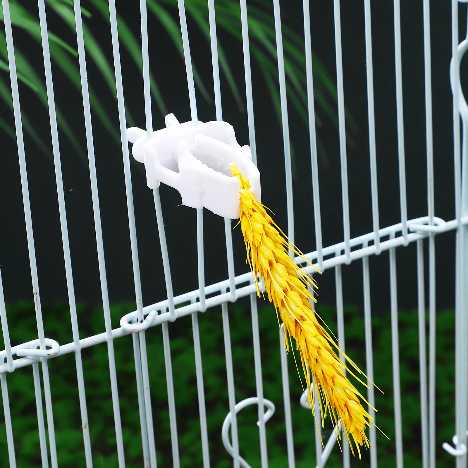 

4Pcs Bird Cage Food Holder Clips ABS Plastic Secure Clip for Bird Cage Feeders Parakeet Clip Fruit Vegetable Clamp