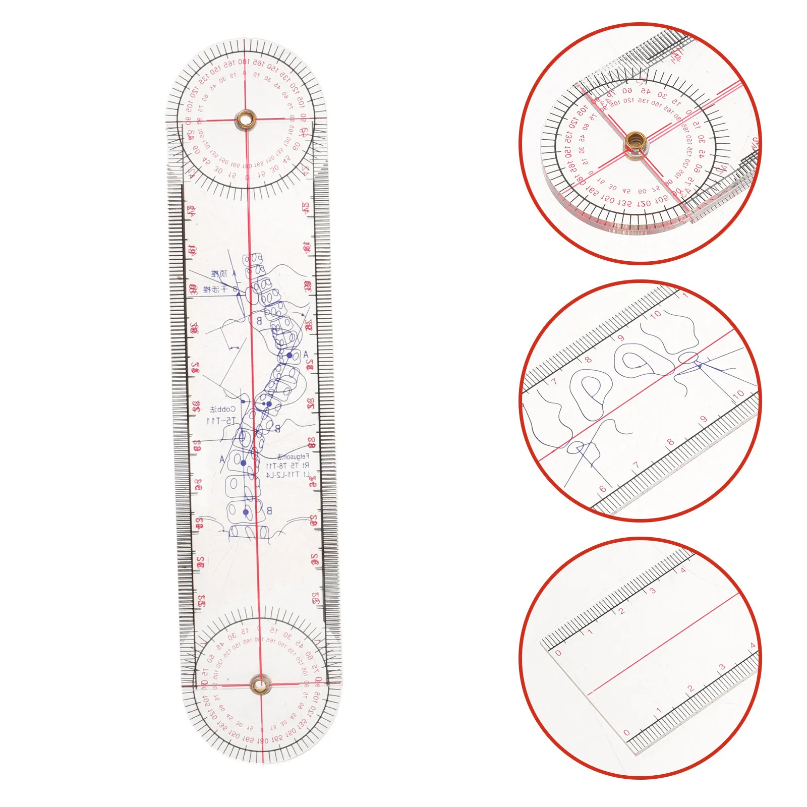 Grade Spine Angle Measuring Ruler for Physiotherapists Chiropractors Postural Assessment Orthopedic Therapy Equipment