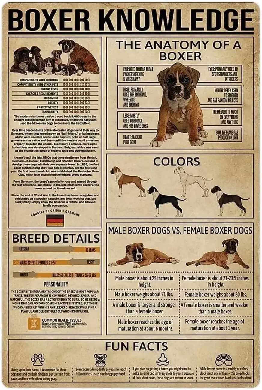ESETASOT Plaques murales décoratives en métal sur le thème du Boxeur : Infographies, Affiches Rétro, Guide d'Encyclopédie Canine pour le Bureau