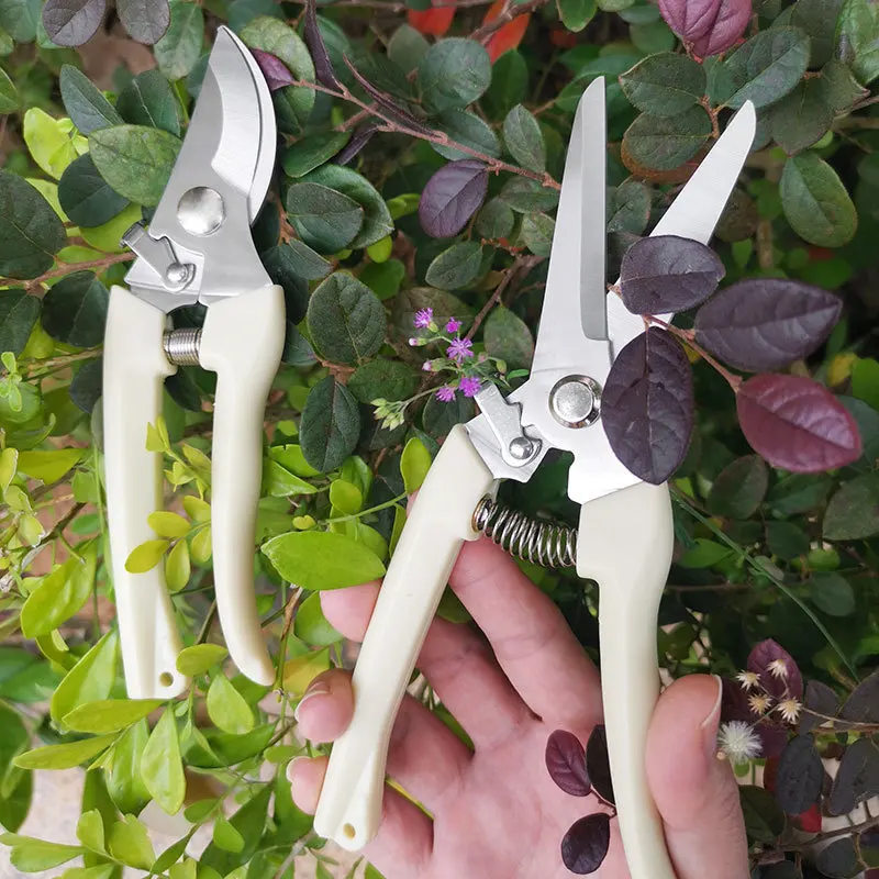 Gardening Scissors Tool, Fruit Tree Pruning, Household Grafting Scissors, Gardening Tool, Floral Arrangement