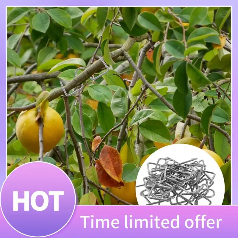 

B69C Fruit Tree Branch Puller Metal Tying Machine Farm Tools New Plum Tree Open Angle Pull Branch Bending Tool Fruit Branch 50PC