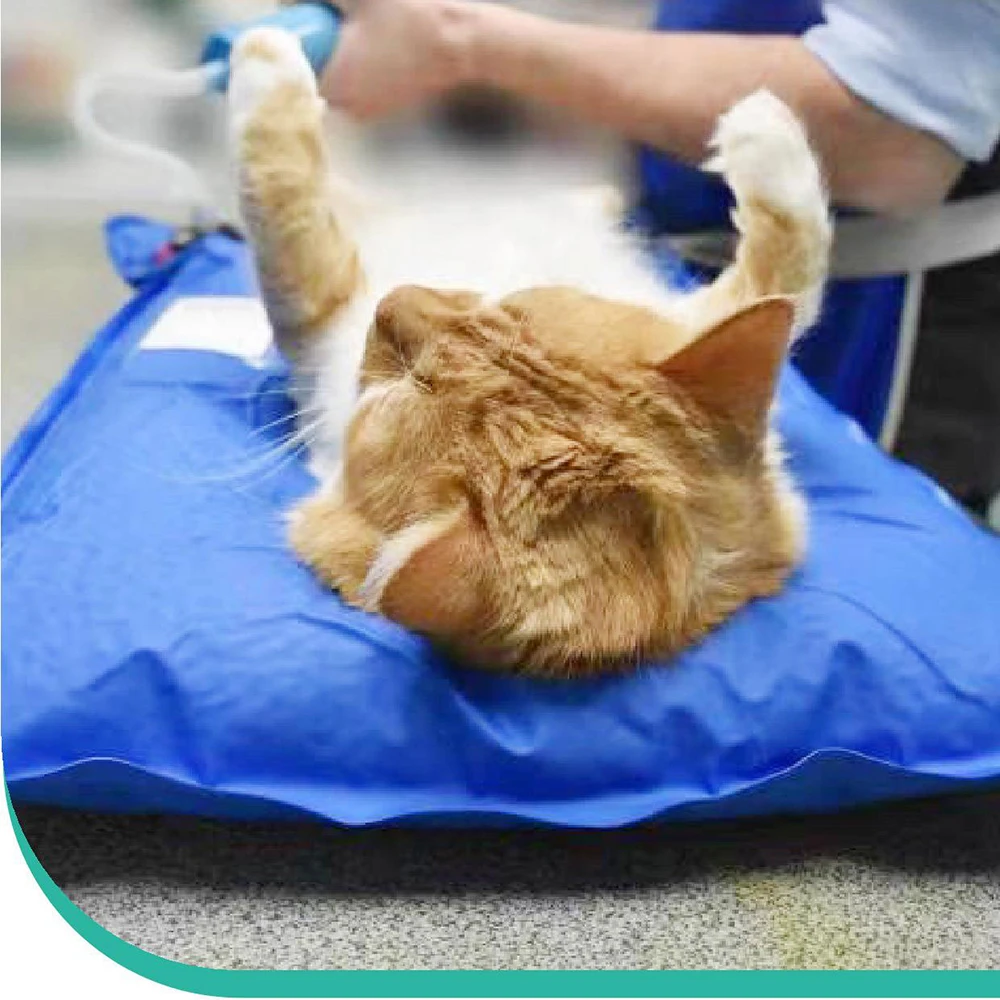 Animal Surgical Accessories Pet Vacuum Positioning Mat Small Veterinary Examination Pad Pet Care Room