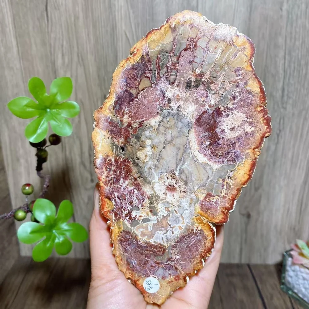 

Unique Natural Stone Petrified Wood Raw Slab Decorative Ornament,Recent Crystal Decorative Gifts For Parents,Healing Crystal