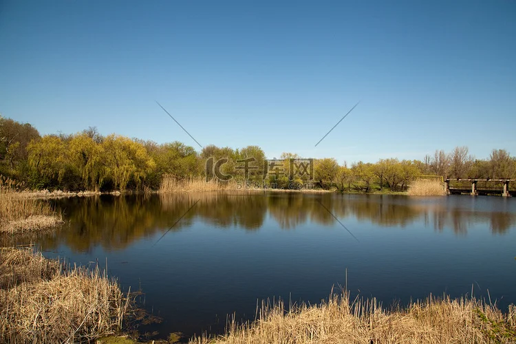 Para Wltoys K969 K979 K989 K999 P929 P939 1/28 piezas de coche teledirigido 4 Uds K989-50 K989-51 columna de carcasa de coche delantera y trasera