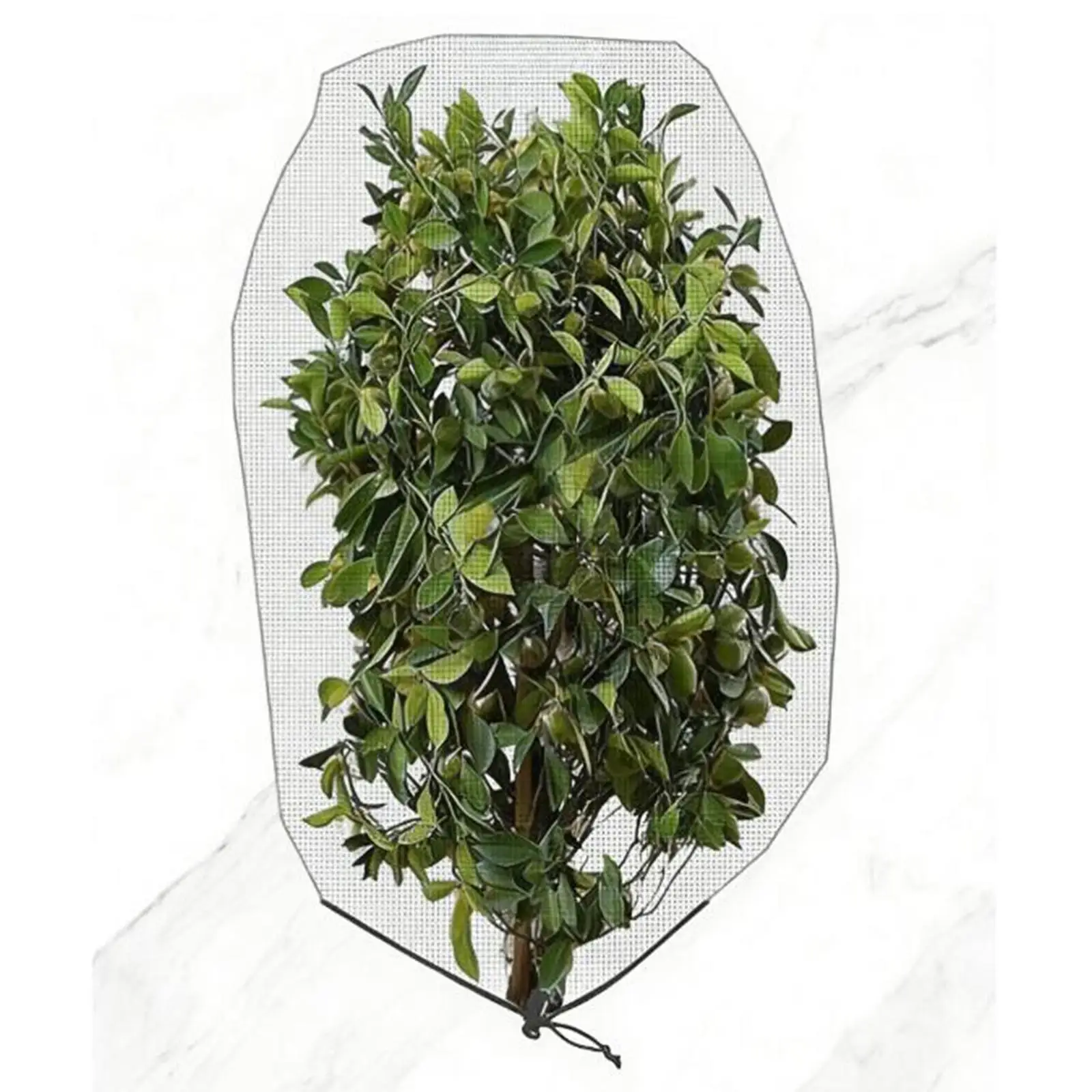 

Garden Net for Plants Mesh Concealment Barrier Netting Anti-bird and for Vegetable and Shrub Care