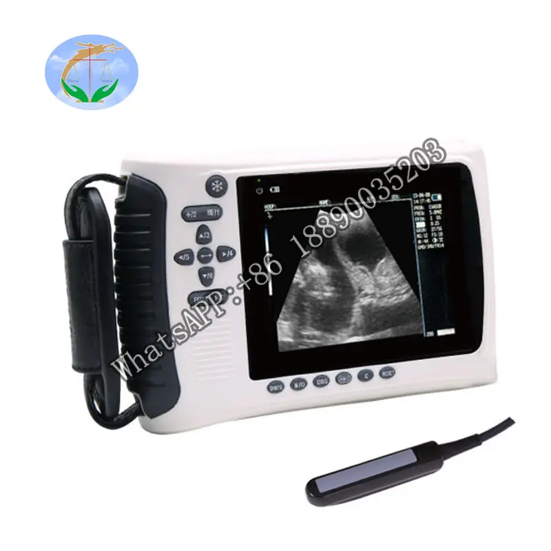 

Veterinary Diagnostic Imaging Ultrasound for Dog, Cat, Sheep, Pig, Cow, Horse Supply 2020 New Ce Approved China Electric Plastic