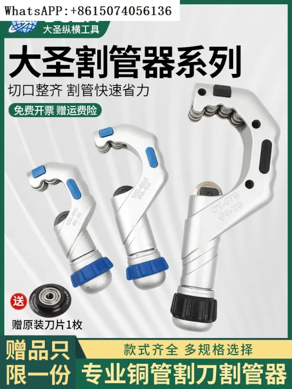 Dasheng Bearing Typ… - image