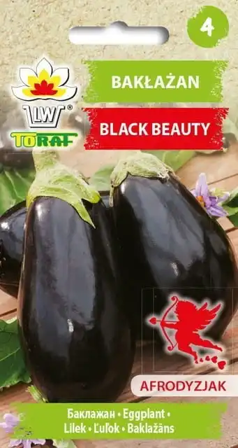 Berenjena Black Beauty Semillas de berenjena vegetal 1G-TORAF