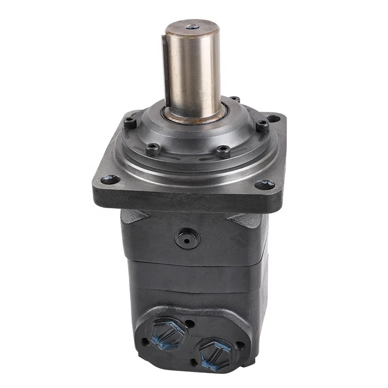 

Hydraulic Motor Factory Custom Oil Drilling Machinery Used Gear Motor BMV Match The OMV 1000 Hydraulic Motor