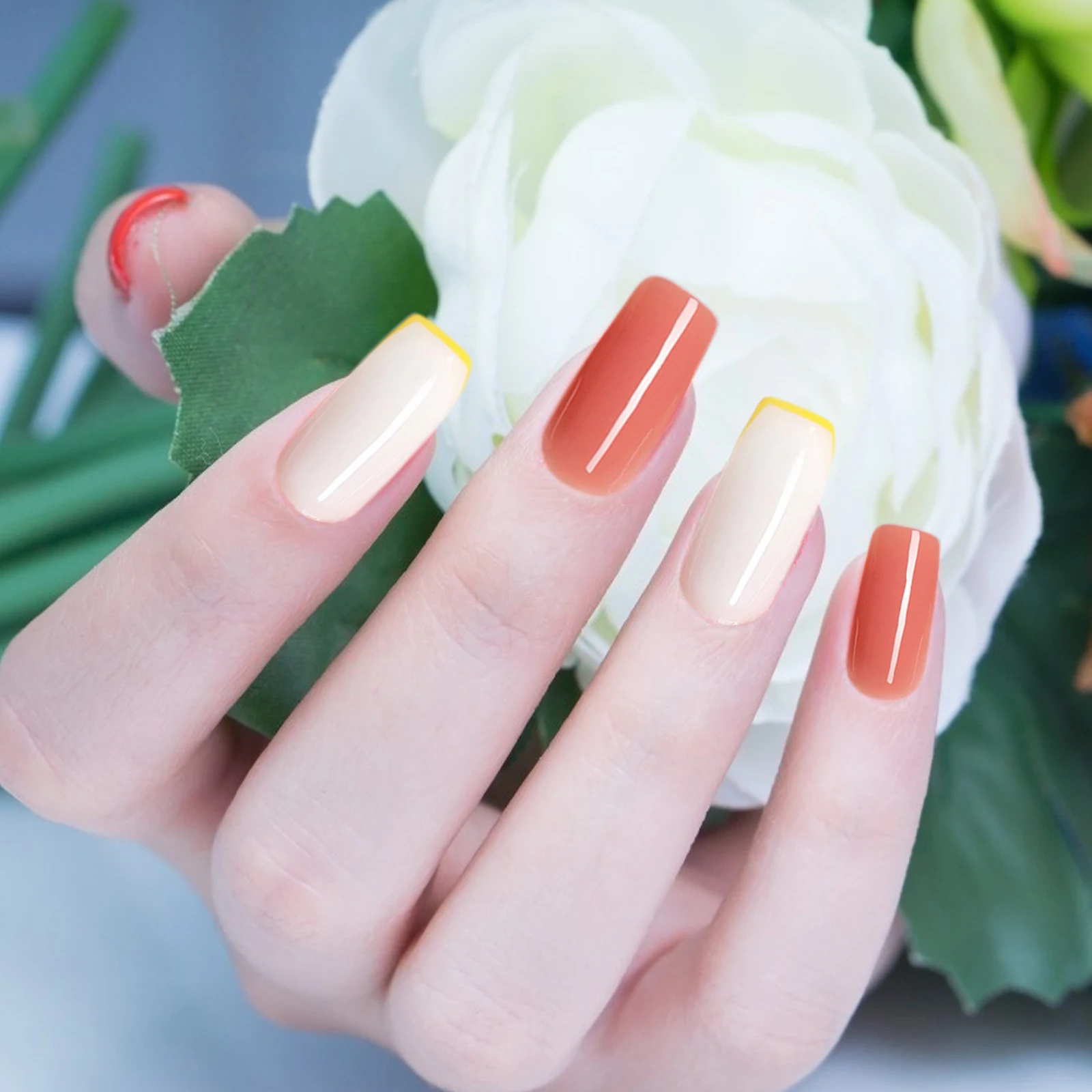 

120pcs Crystal Nail Molds for Gel Acrylic Nails Art Manicure DIY Tools Transparent Forms with Perfect Length Suitable Salon