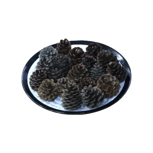 AMORMAN 30 Pcs Hundred percent Natural Additive-Free Decorative Pinecone