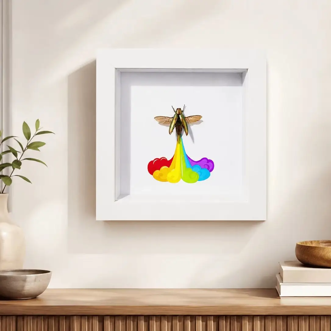 Real Jewel Beetle Specimen in 6-Inch White Wood Frame, Rainbow Trail Insect Wall or Desk Decor