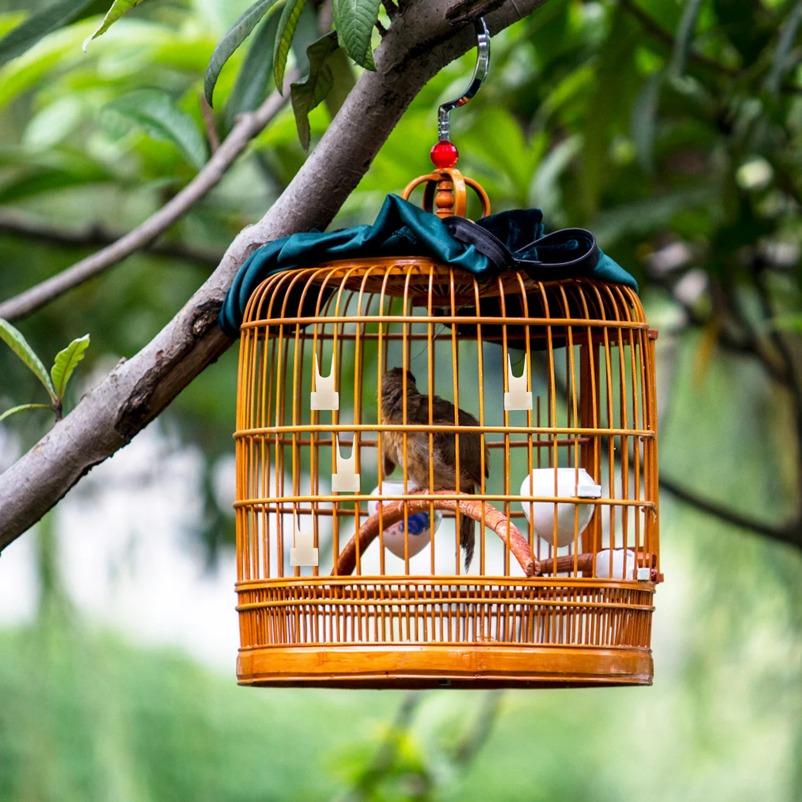 

50Pcs Bird Cage Fruit Fork Large Plastic Parrot Food Holder Hanging Cage-Mounted Bird Fruit Feeding Skewers Parrot Food Holder