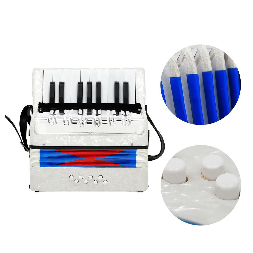 

Accordion Instruments Music s Practice s Introductory Musical Major Child