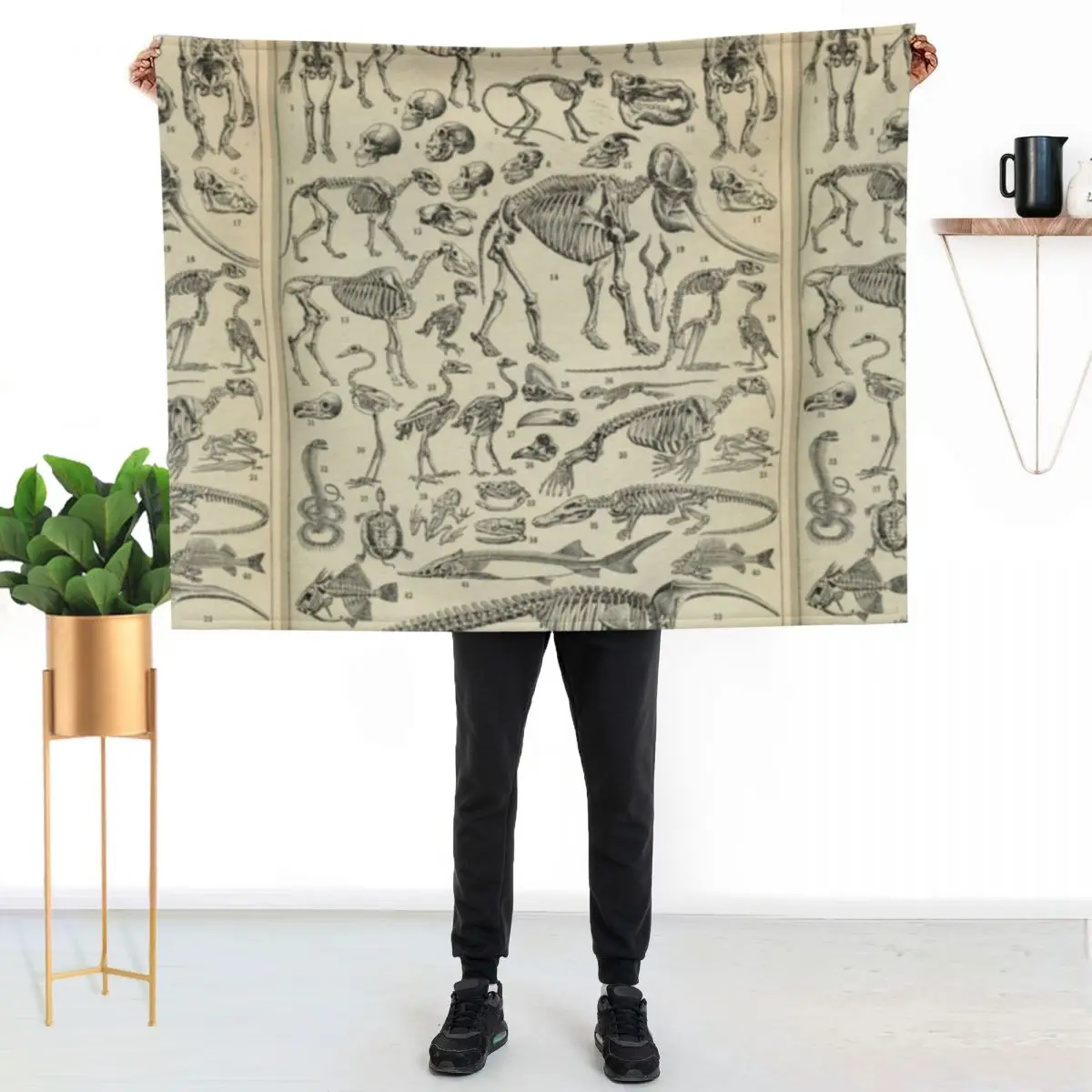 

Skeletal Anatomy Throw Blanket Luxurious Soft Blanket Holiday Gift for Family