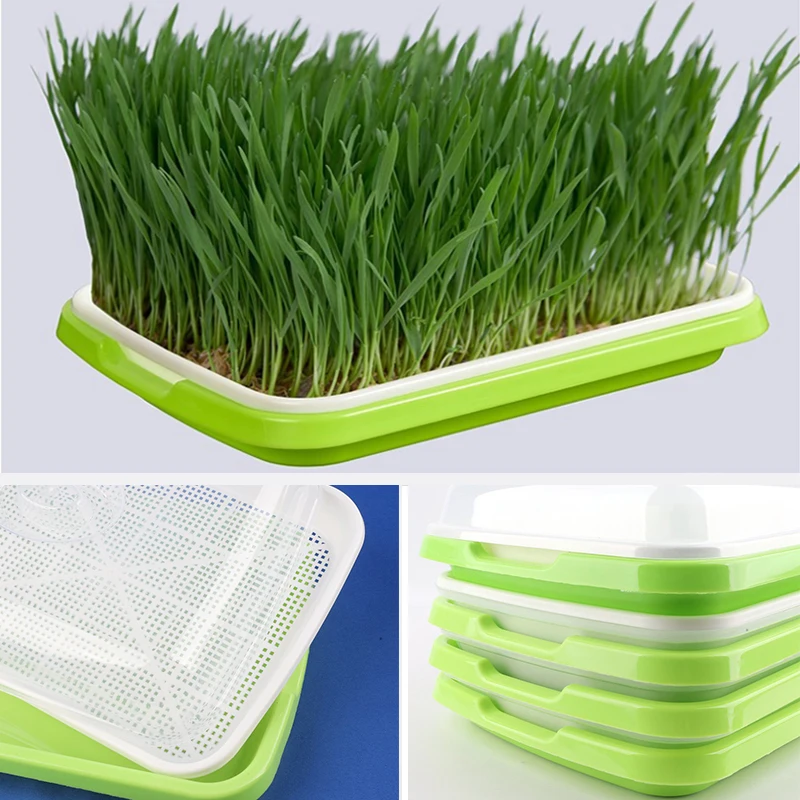 2Pcs/Lot Seed Nursery Pots Hydroponics Bean Sprouts Grow Dishes Plate Vegetables Soilless Seedling Raising Basin For Sprouts