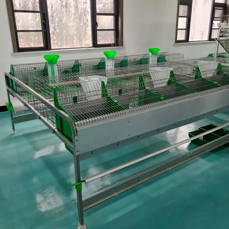 

European Style Single-Layer 12-Position Breeding System Cage For Mother Rabbit