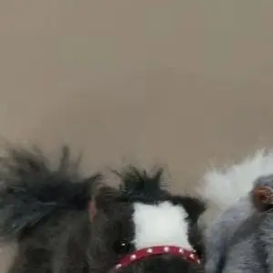 1Pcs Simulation Pony Puppe Rucksack Zubehör Kreative Cartoon Pferd Plüsch Puppe Schlüsselbund Nette Tasche Anhänger