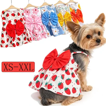 Princess Pet Summer Dress 1