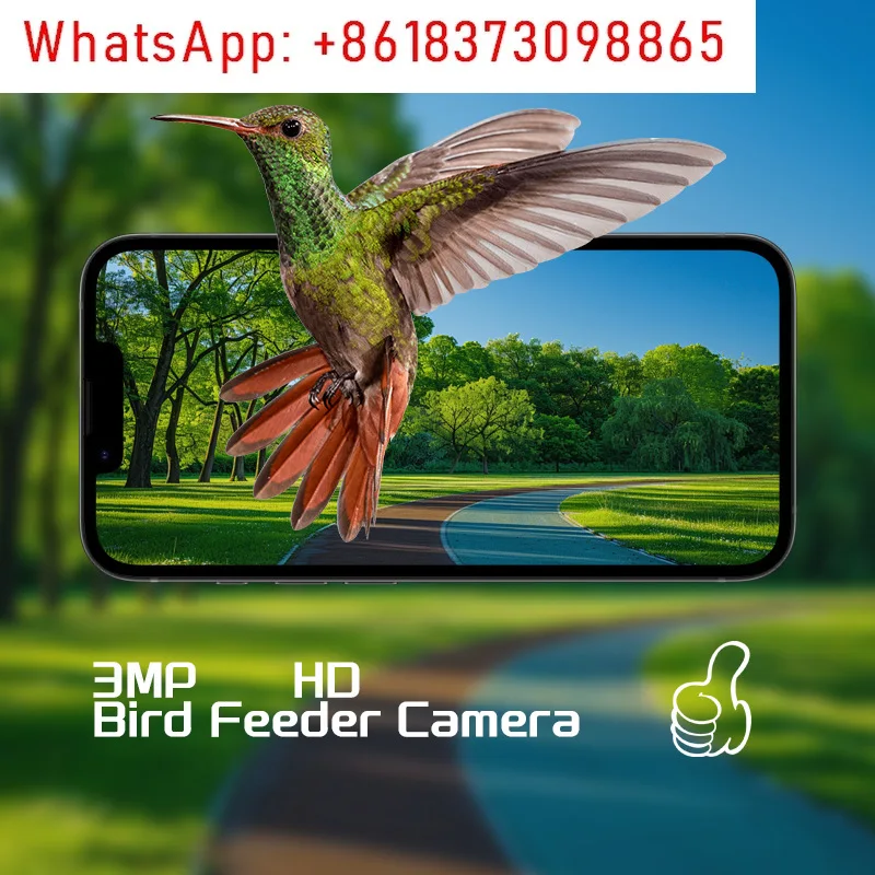 Outdoor high definition bird feeder camera AI identification bird solar pet intelligent feeder