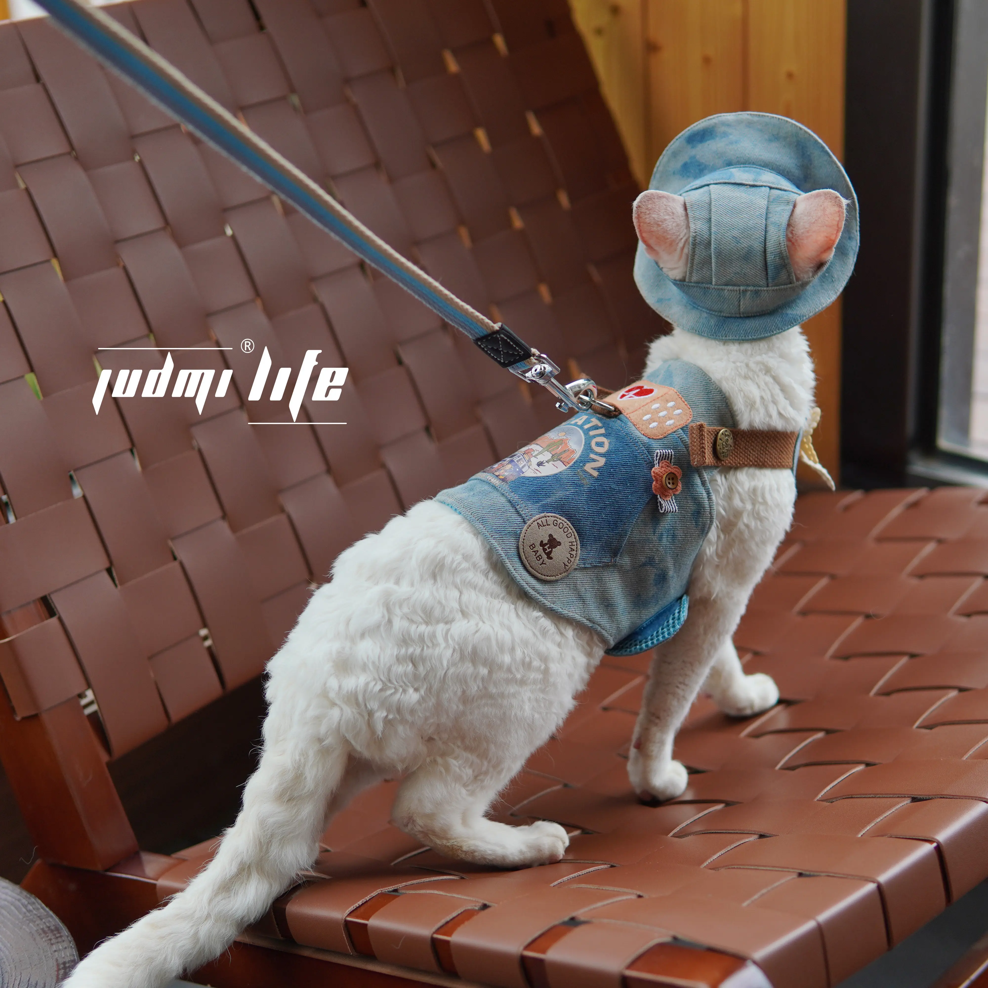 Spring Summer Sphynx Cat Denim Harness with Hat Suit Outdoor Travel Walk Harness Set for Small Media Cats Kittens Devon rs