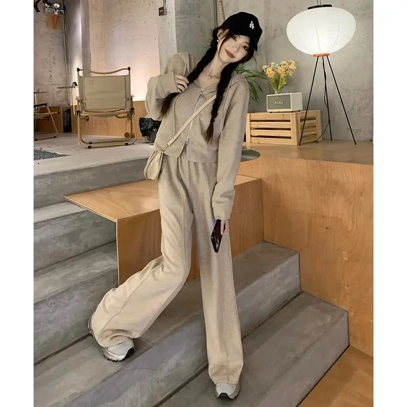 Two Piece Hooded Zipper Sweatshirt Wide Leg Pants Women Spring Autumn New Loose Casual Sports Suit
