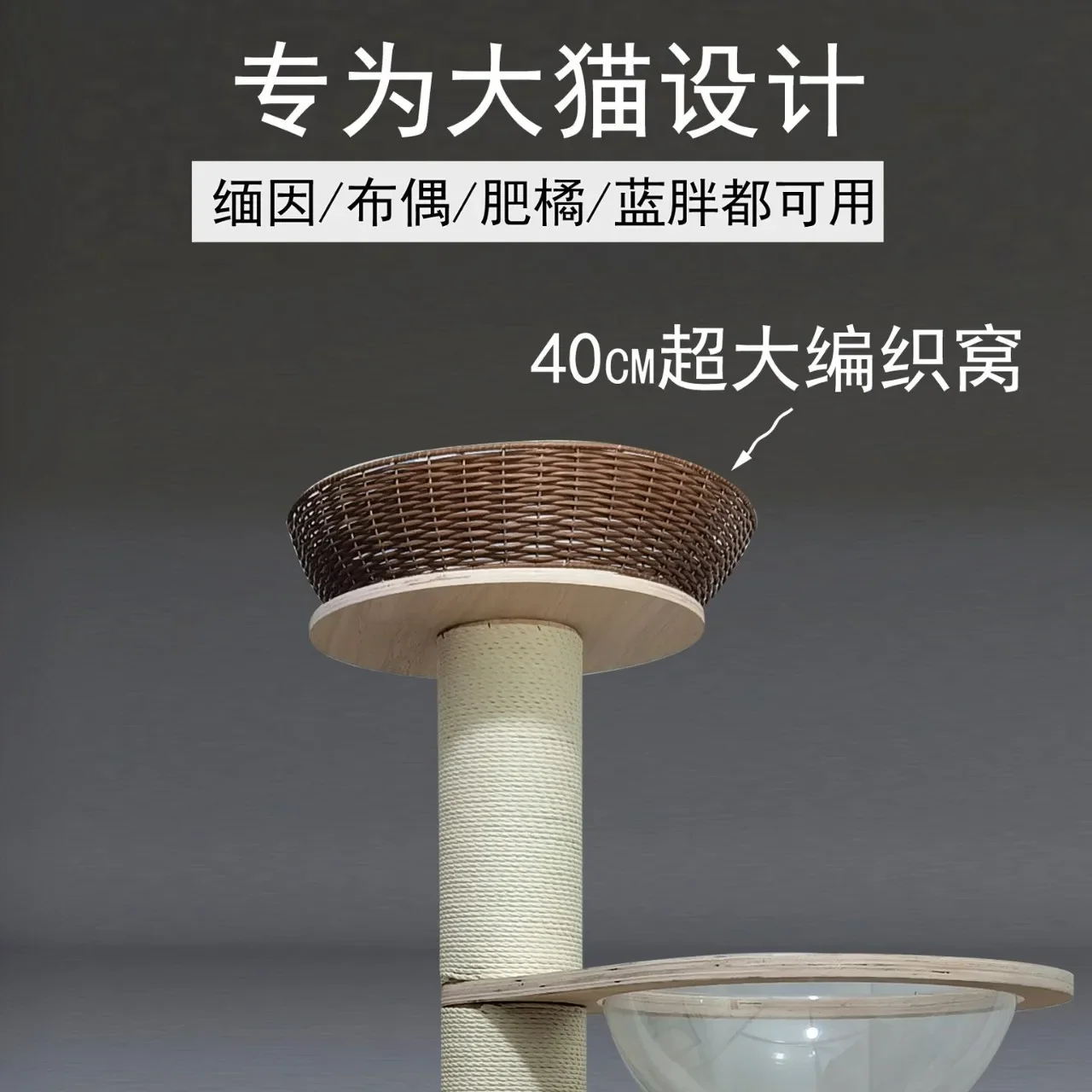 Capsule spatiale pour cadre d'escalade pour chat en bois massif