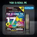 25-Colorful X17-200M