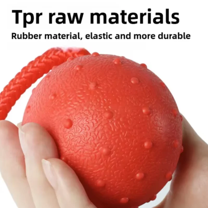 Thumbnail 4 - #10 Compare Puppy Rope Toys Before You Buy