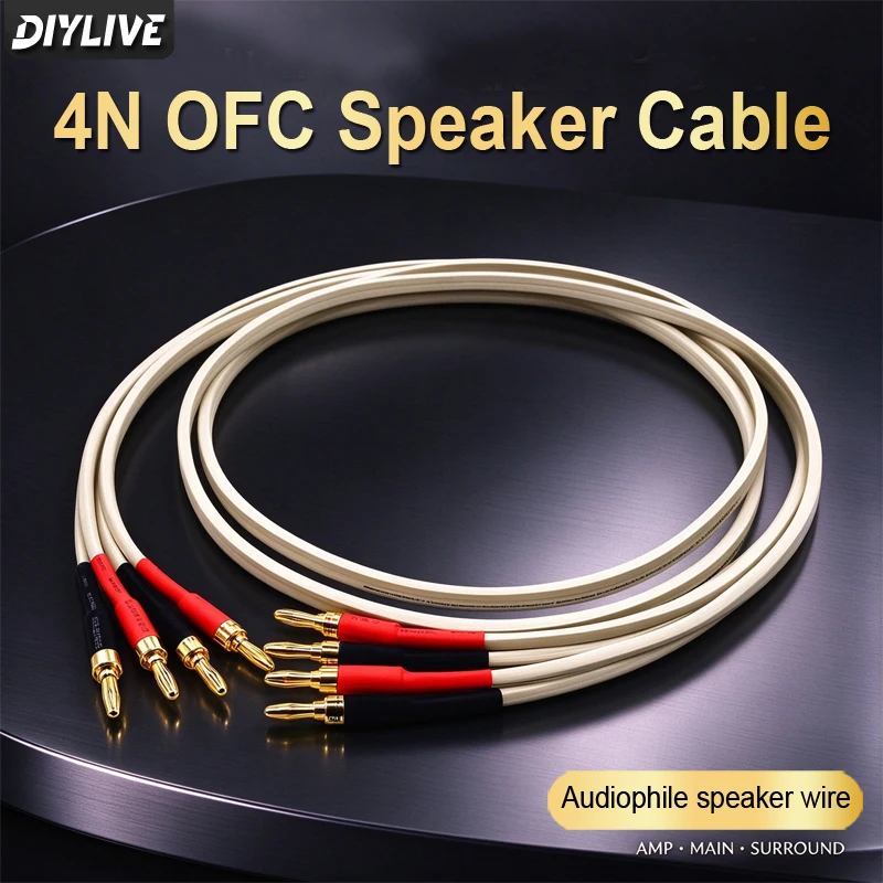 4N Oxy-Free Copper Power Amplifier Speaker Cable 5.1 Surround Sound Connection Universal Banana Head Y Plug-In Audio Cable