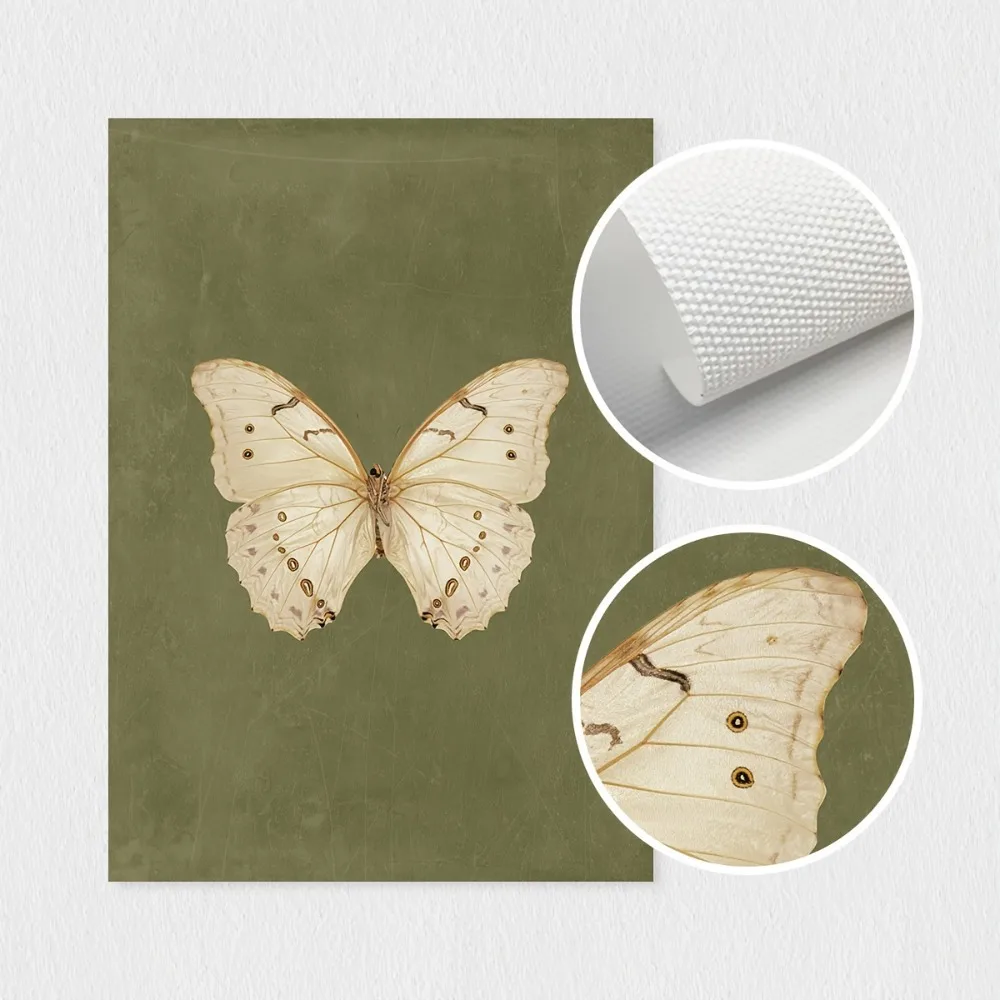 قطعة واحدة من طباعة فنية جدارية على شكل فراشة بيضاء كلاسيكية بدون إطار، ديكور ريفي على طراز الكوخ القوطي، ديكور فني جداري لغرفة النوم