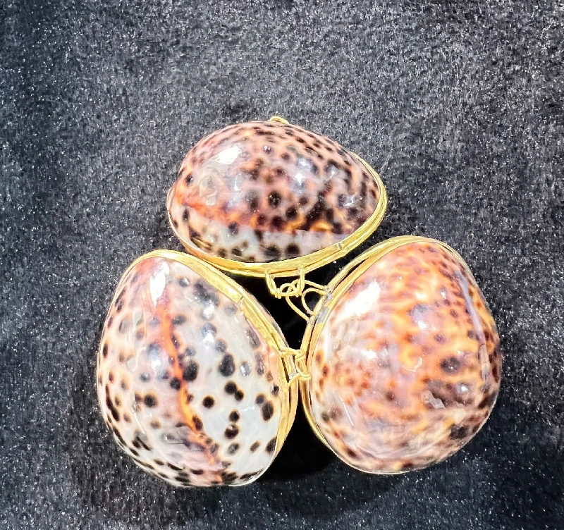 Natural Conch Shell Jewelry Box, Pearl Shell, Scallop Shell Crafts