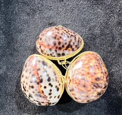 Natural Conch Shell Jewelry Box, Pearl Shell, Scallop Shell Crafts