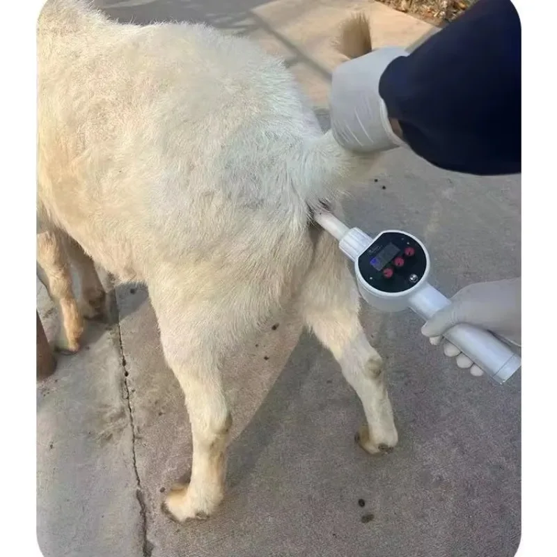 Electrically Stimulated Semen Collection Device for Veterinary Use in Pigs, Deer, Cattle, Sheep, and Dogs.
