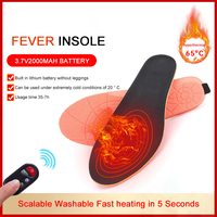 2000mAh Electric Foot Warmer Heated Insoles Remote Control Rechargeable USB Heating Foot Pads Warmer Insole for Man Women Shoes
