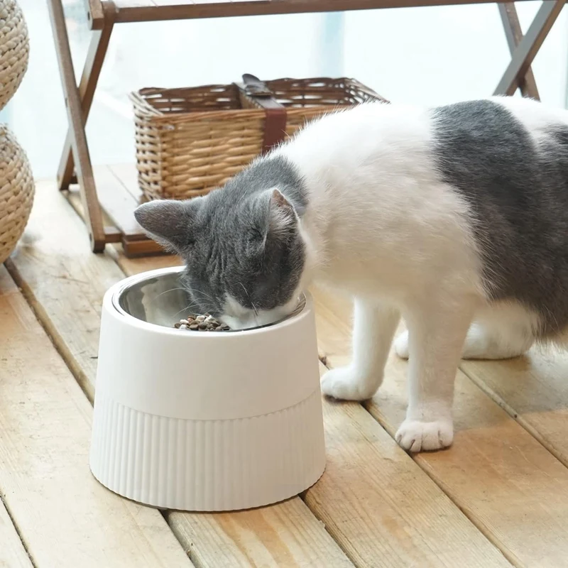 Elevated Dog Bowl, Raised Dog Feeder With Removable Stainless Steel Food And Water Bowl, Non-Skid Dog Dish White Durable