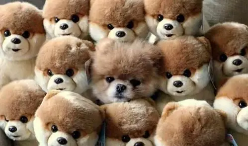 Emax Blheli-S Dshot…