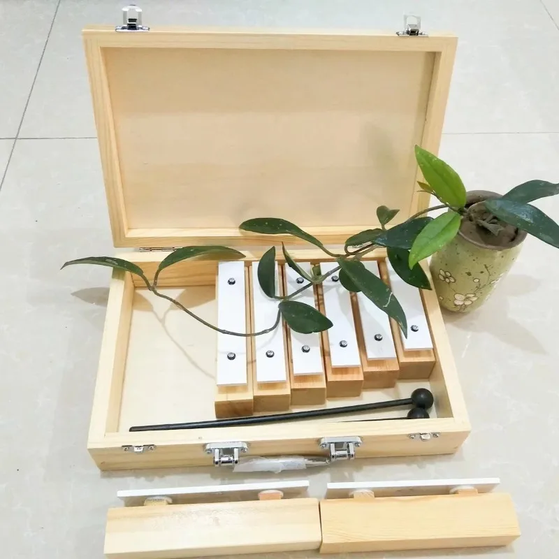 8 Tone Sound Brick with Wooden Box Professional Glockenspiels Children Meditation Celesta Orff Metalofone Musical Instrument