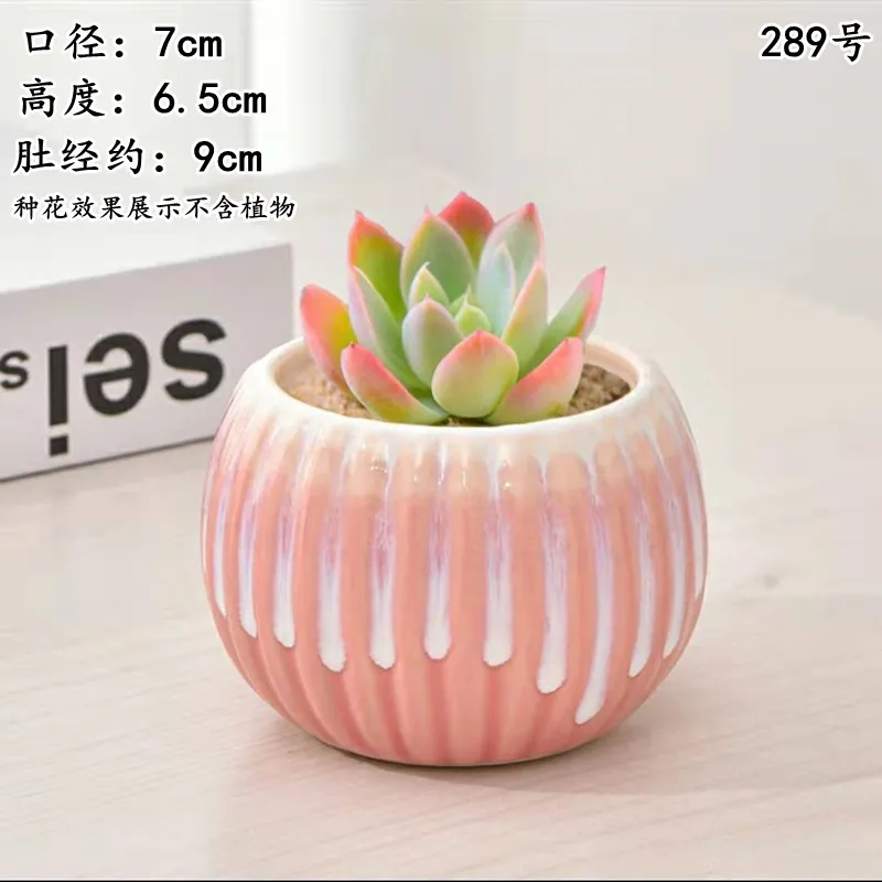 Succulent Flower Pot Ceramic Gardening Ceramic Mini New Product Creative Crude Pottery Retro Home New Porcelain Pot Basin