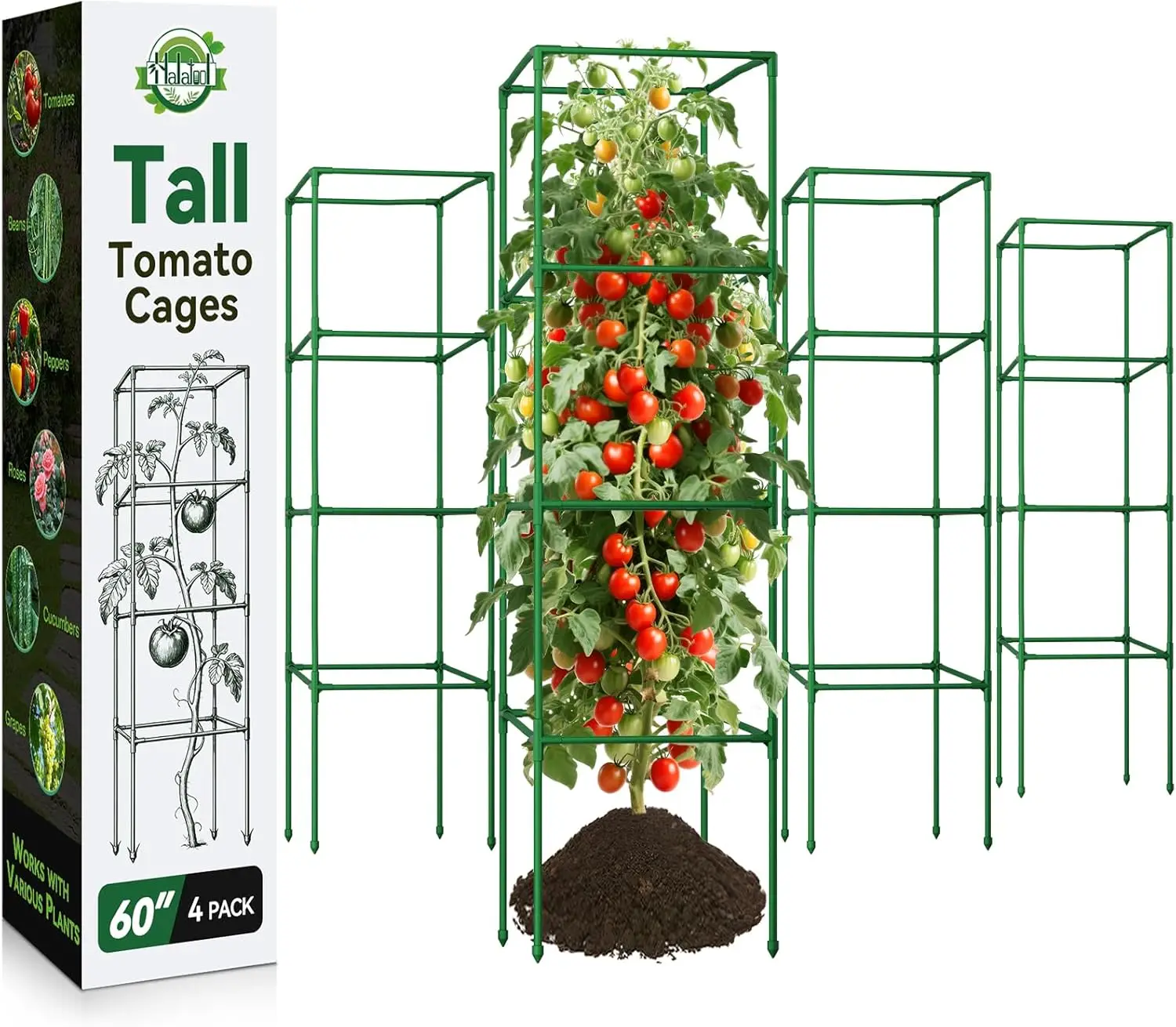 

60 Inch Tall Tomato Cages - 4 Pack Heavy Duty Adjustable Plant Supports for Garden Beds | Foldable Metal Trellis
