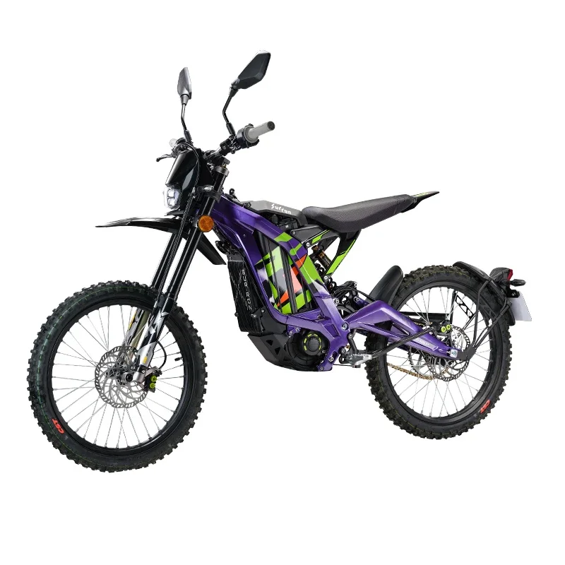 Road version of electric off-road motorcycle