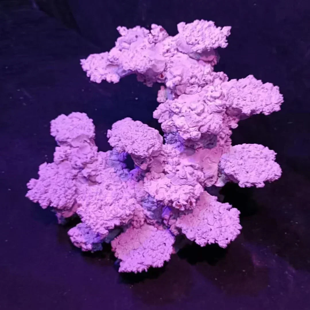 Custom Made 60cm Fish Tank Aquarium Decoration Aquascaping Stone Rock For Sale - Image 2