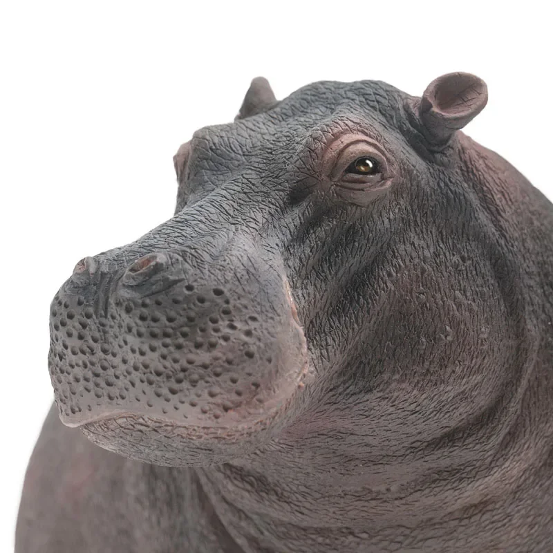 

Dunqi Hippopotamus Growth Companion Toy Model Cognitive Learning Collection Ornament Healing Series Zoo Theme simulation model