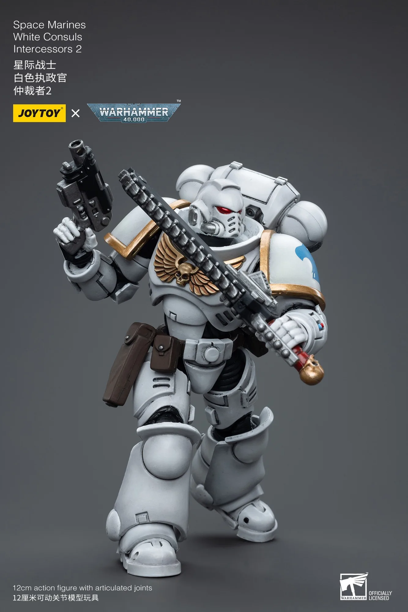 【Accesorios】JOYTOY Warhammer 40k 1/18 Figura de acción White Consuls Space Marines White Consuls Intercessors 2
