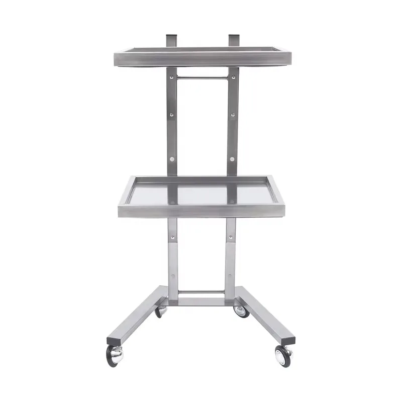 New Arrive 2-in-1 Salon Trolley Convenient Four Wheeled Handcart with Large Storage Space Available in 2 Colors for Nail Salons