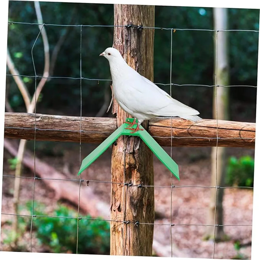 10 قطعة من البلاستيك حمامة جثم حمامة بقية حامل الإطار لالببغاوات الحمام الأزرق منزل لوازم السكن اكسسوارات #3